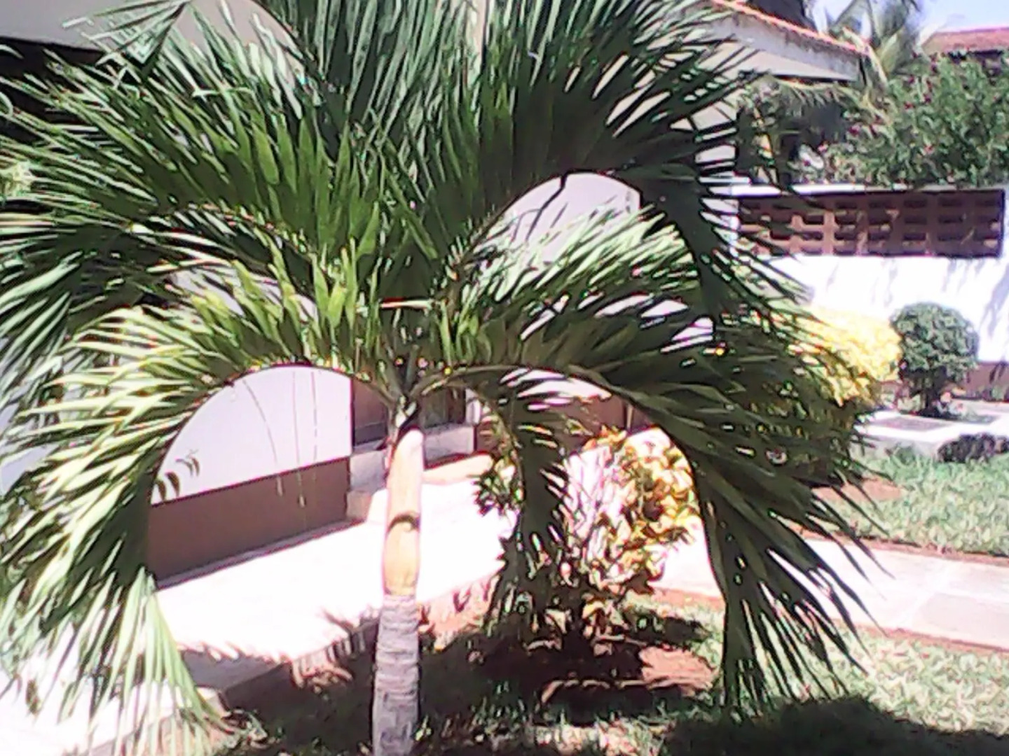 Mei Place Apartments