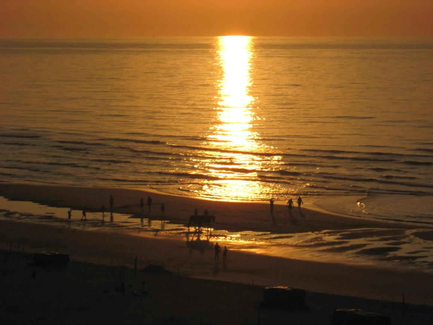 Appartement sur la digue - De Haan - Le Coq - Silver Beach