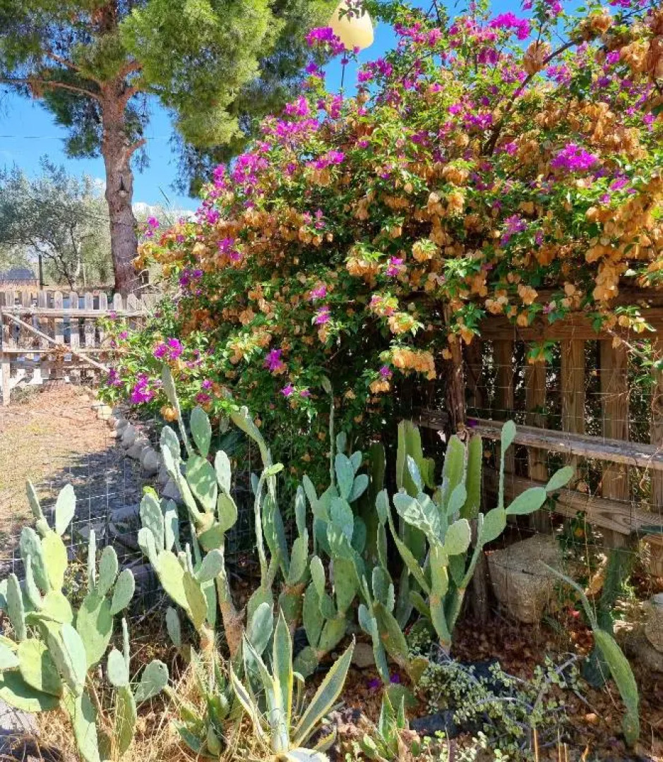 Sunset Valley Village