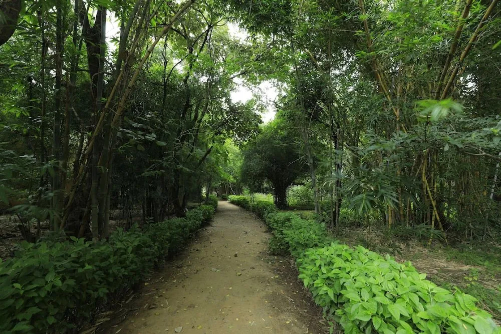 Renest Bandhavgarh Meadows