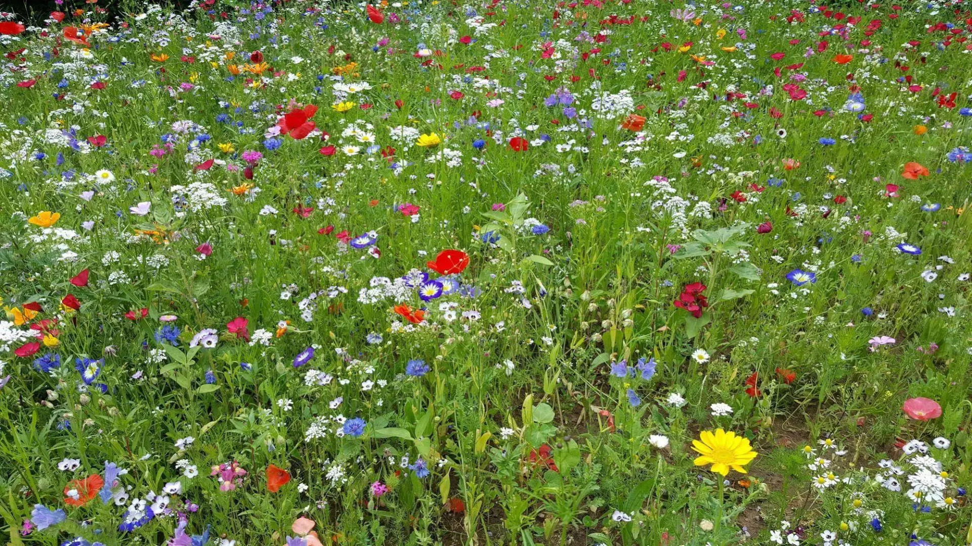 Ringhotel Reubel Nuernberg-Zirndorf