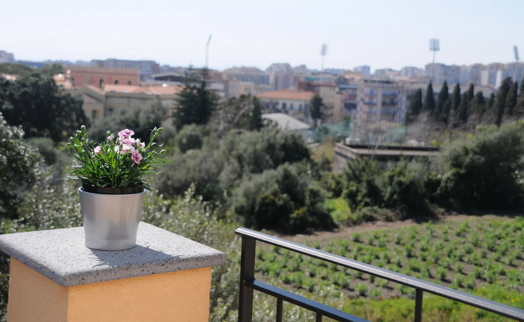 La Circumetnea B&B