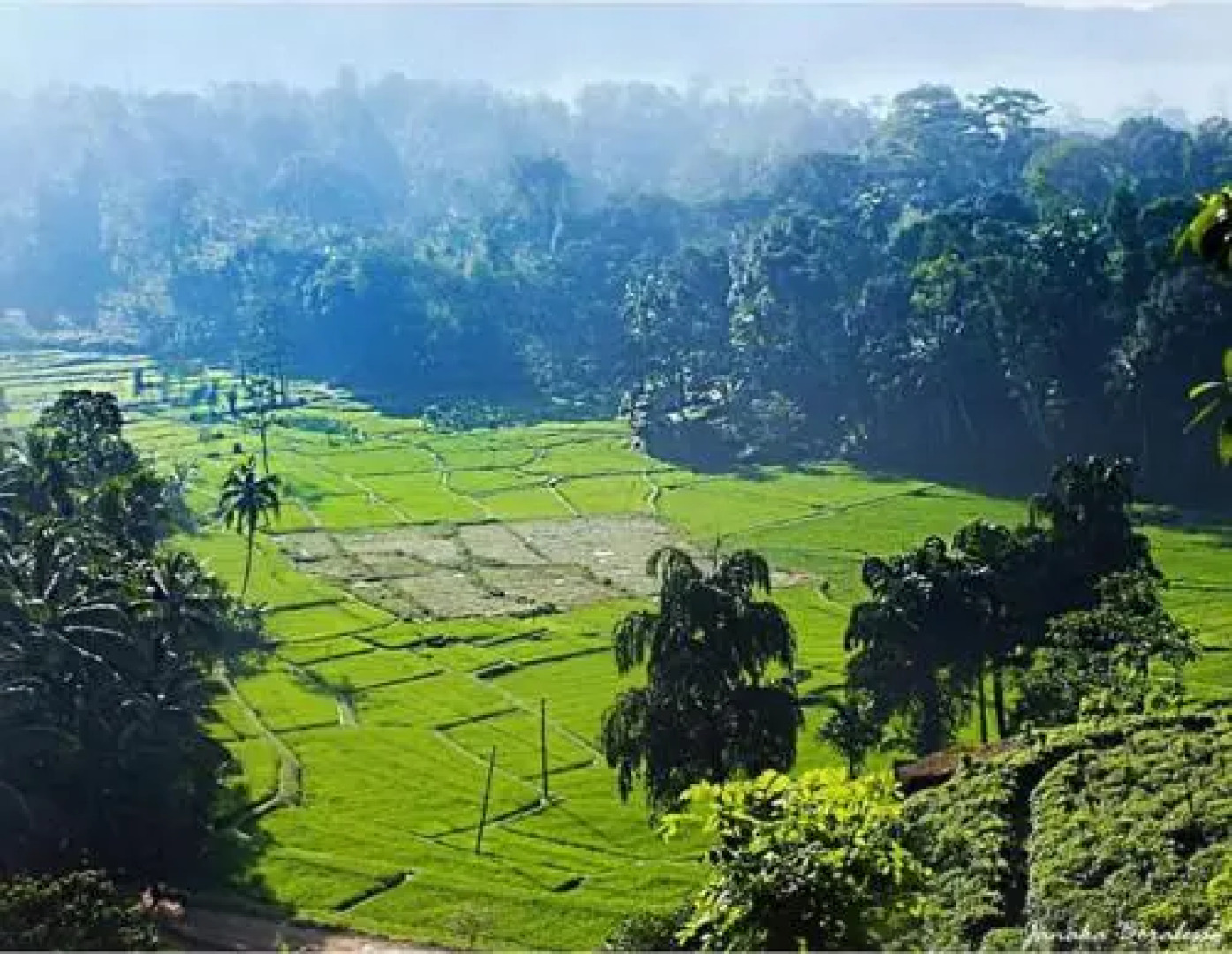 Godella The Green Park