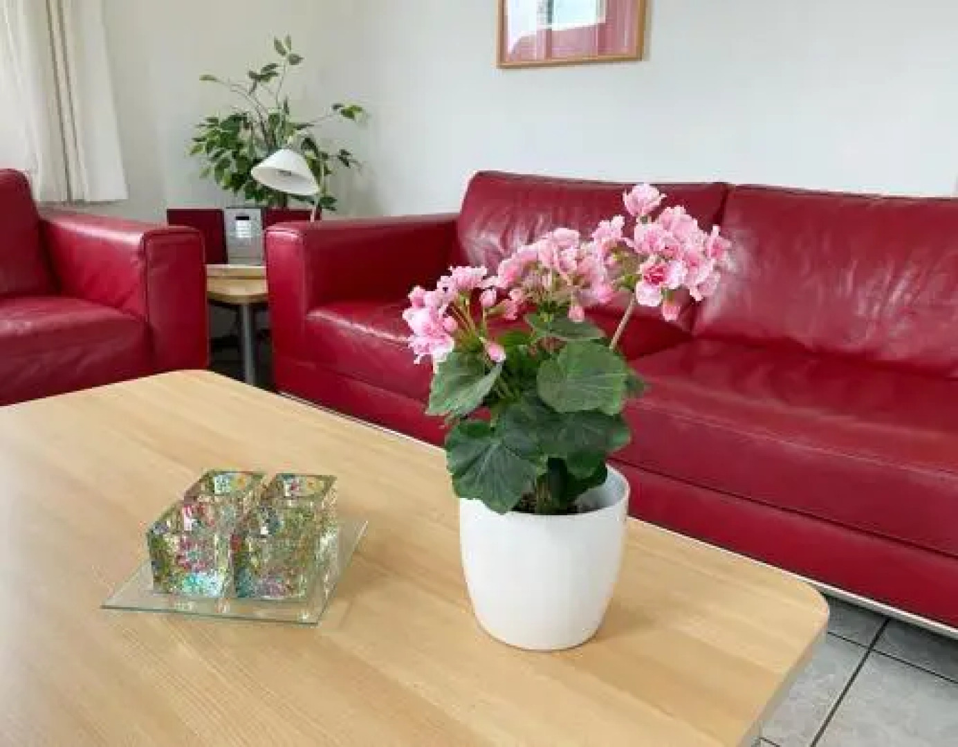 Park Schoneveld: Stern 263