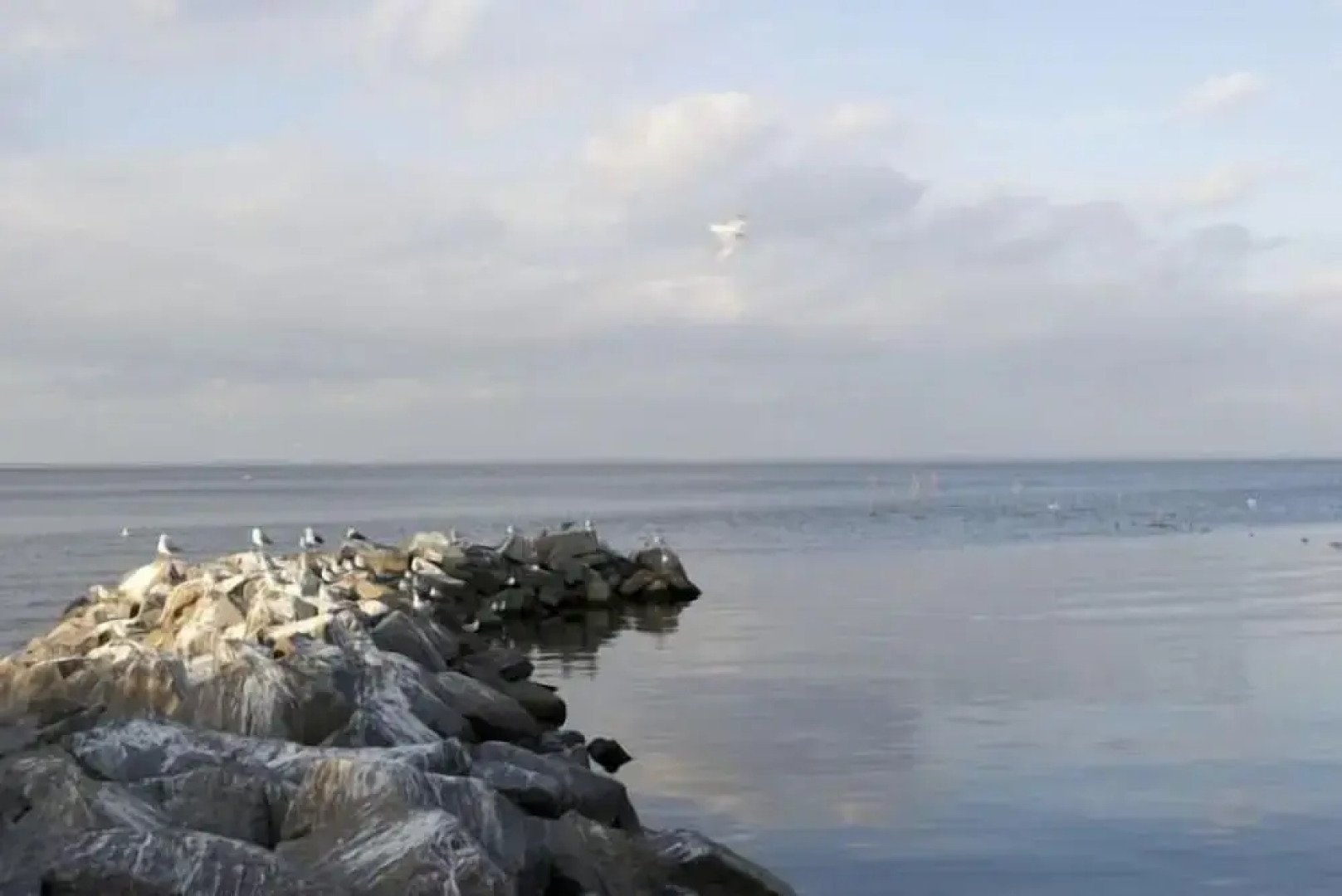 Lagunenstadt Ueckermünde