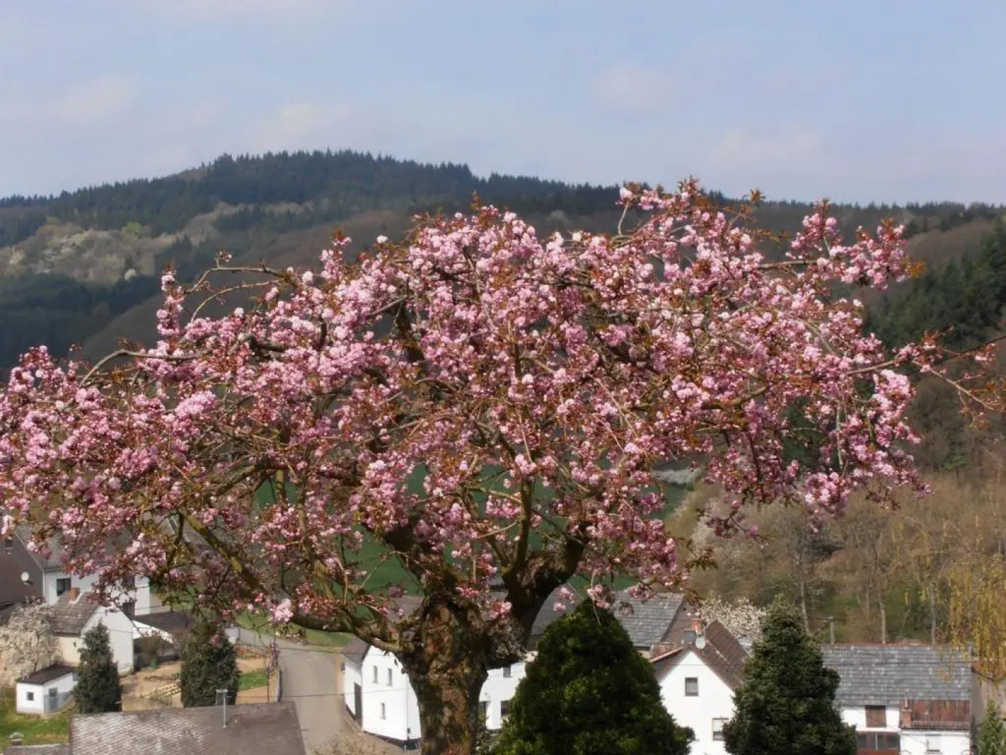 Ferienwohnung-in-schoenster-Lage