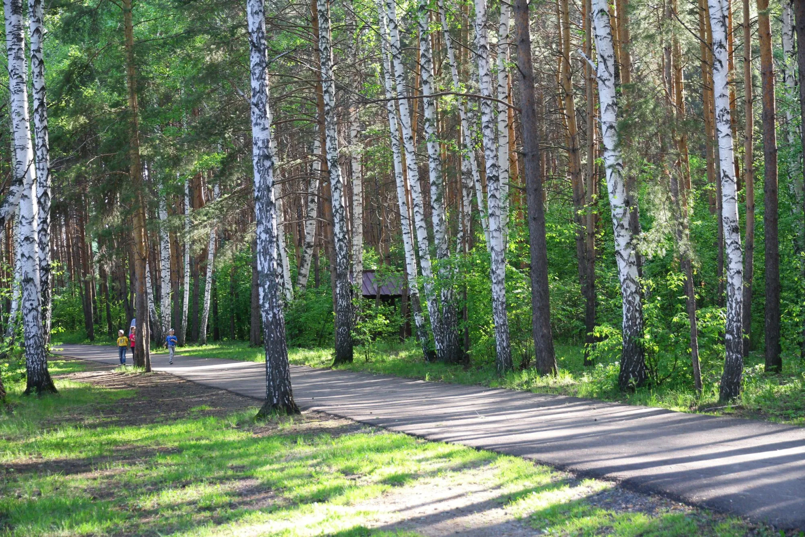 Karagajskij bor