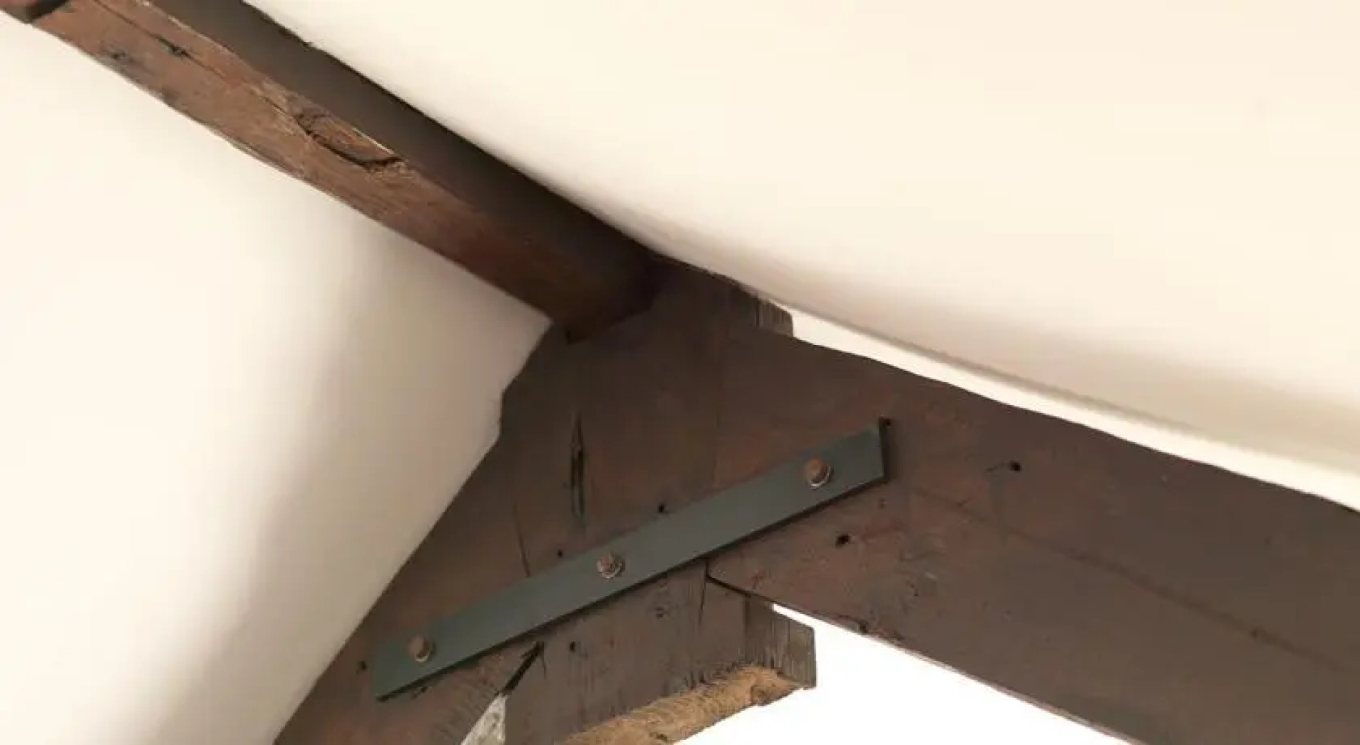 FLH Wood House with Garden I Porto