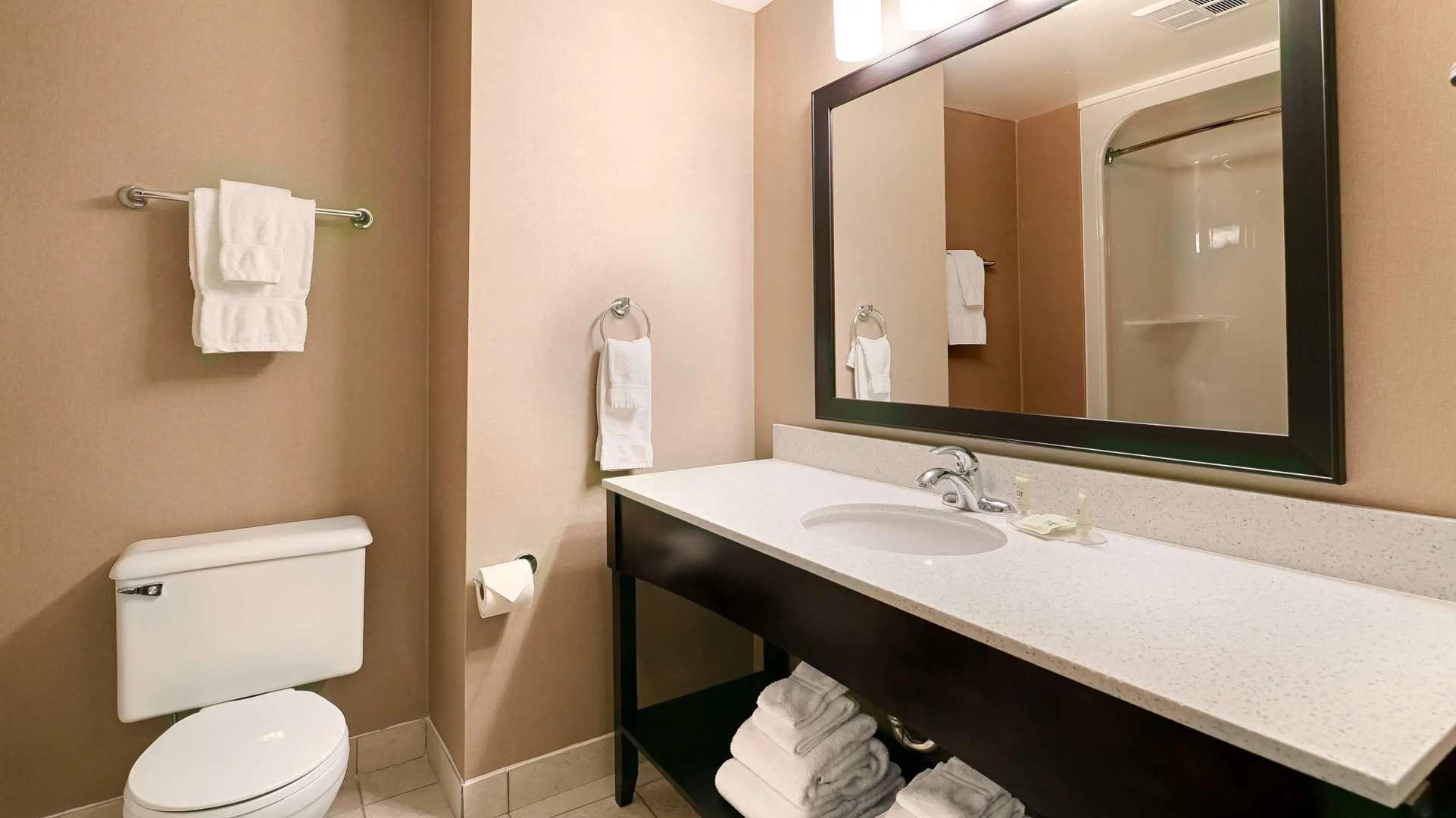 Best Western Swan Castle Inn