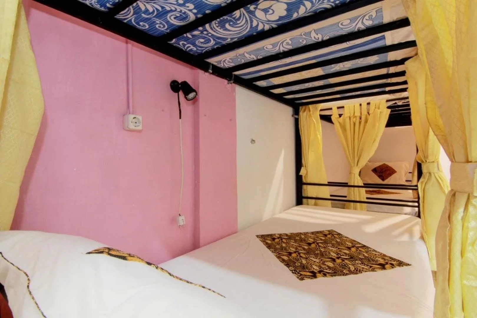 Laura's Backpacker 523