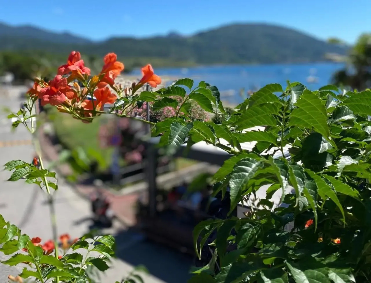 Regina E Oriente - la Casa Del Moro