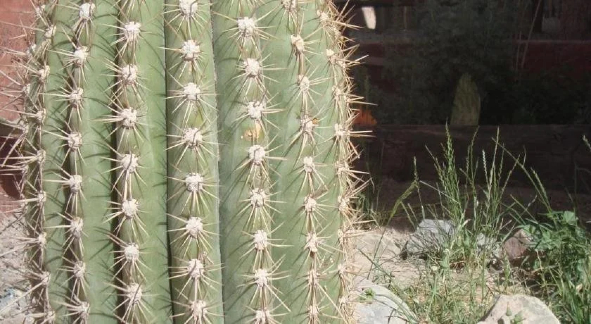 Tierra Andina Hostel