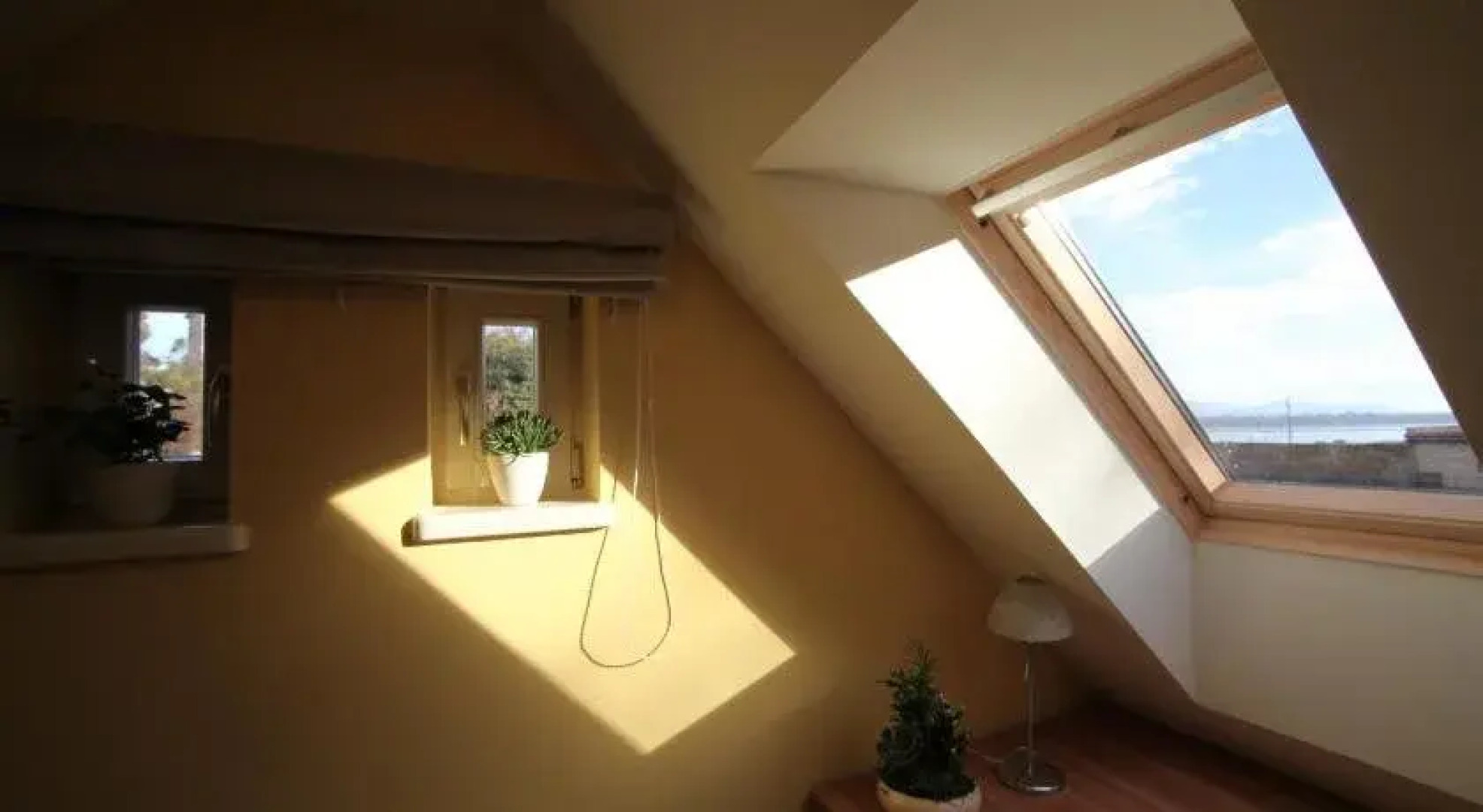 Platan Vararok Vendeghaz