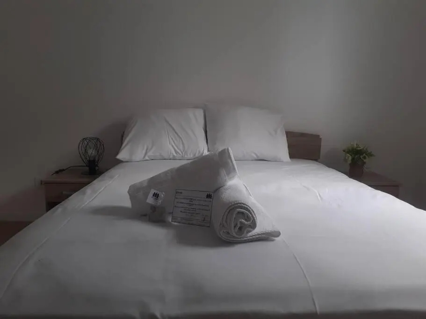 Zarlor magnifique t2 rénové proche clinique