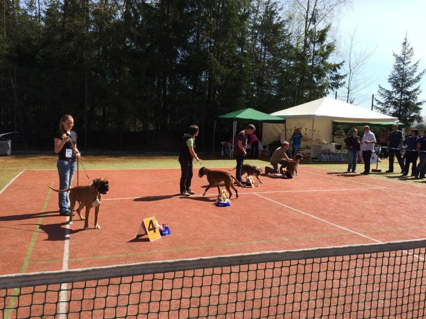 Hotel Schindleruv Haj