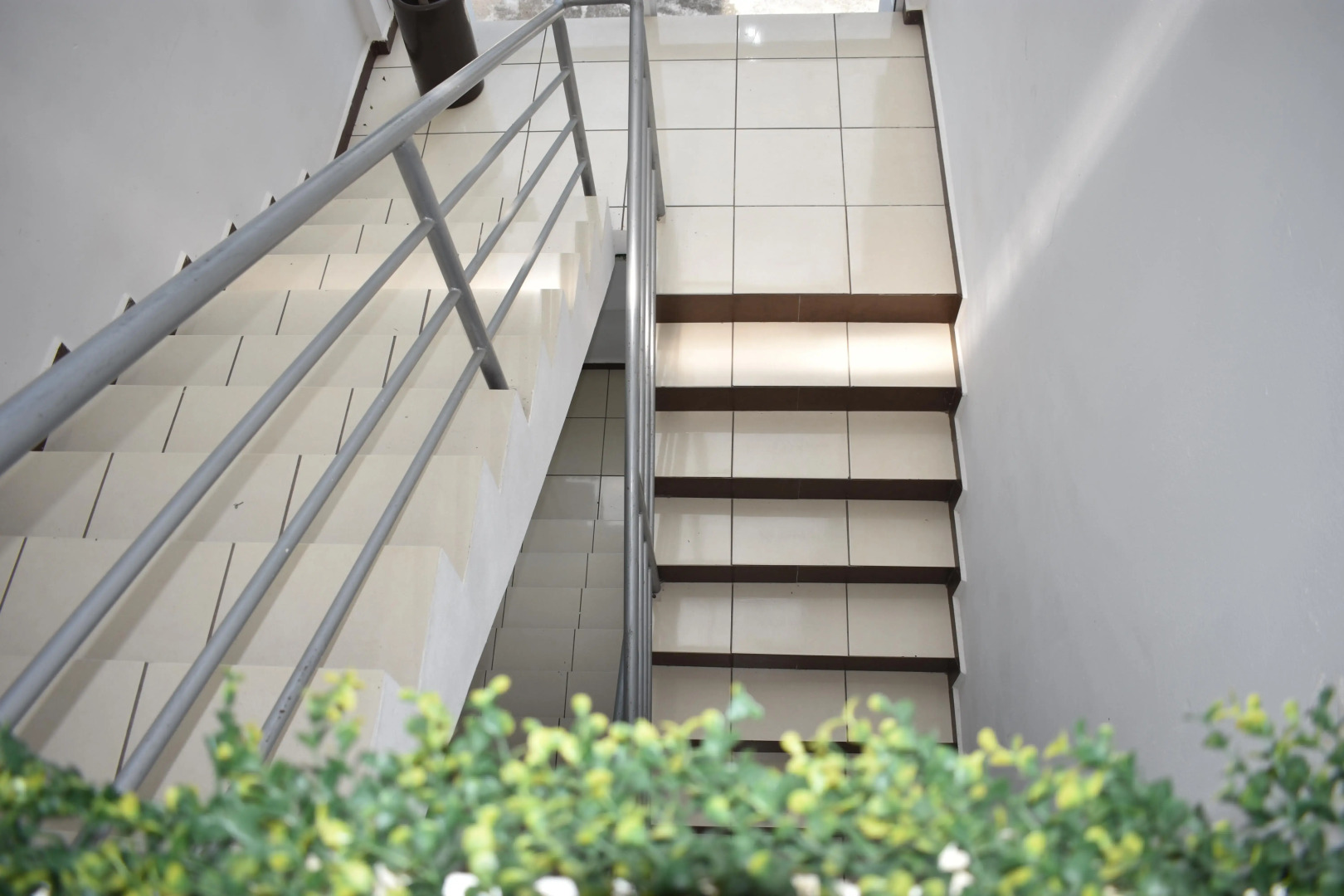 Ediplazario Coatzacoalcos