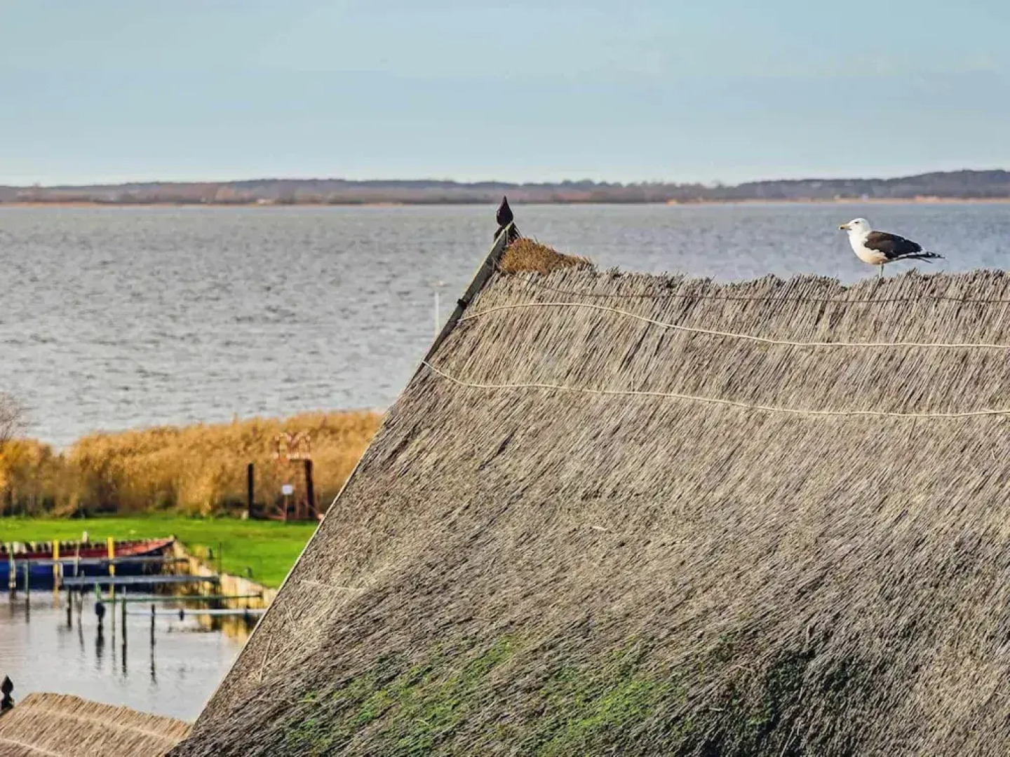 Aquarius Ferienwohnungen Usedom