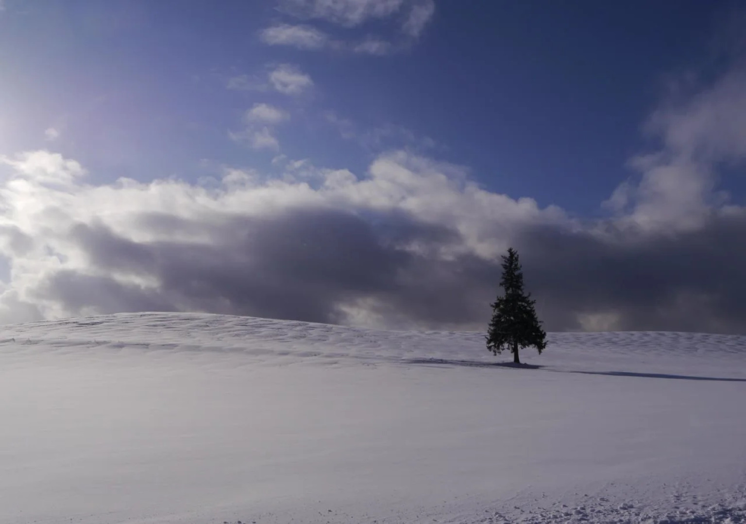 Shirogane Park Hills