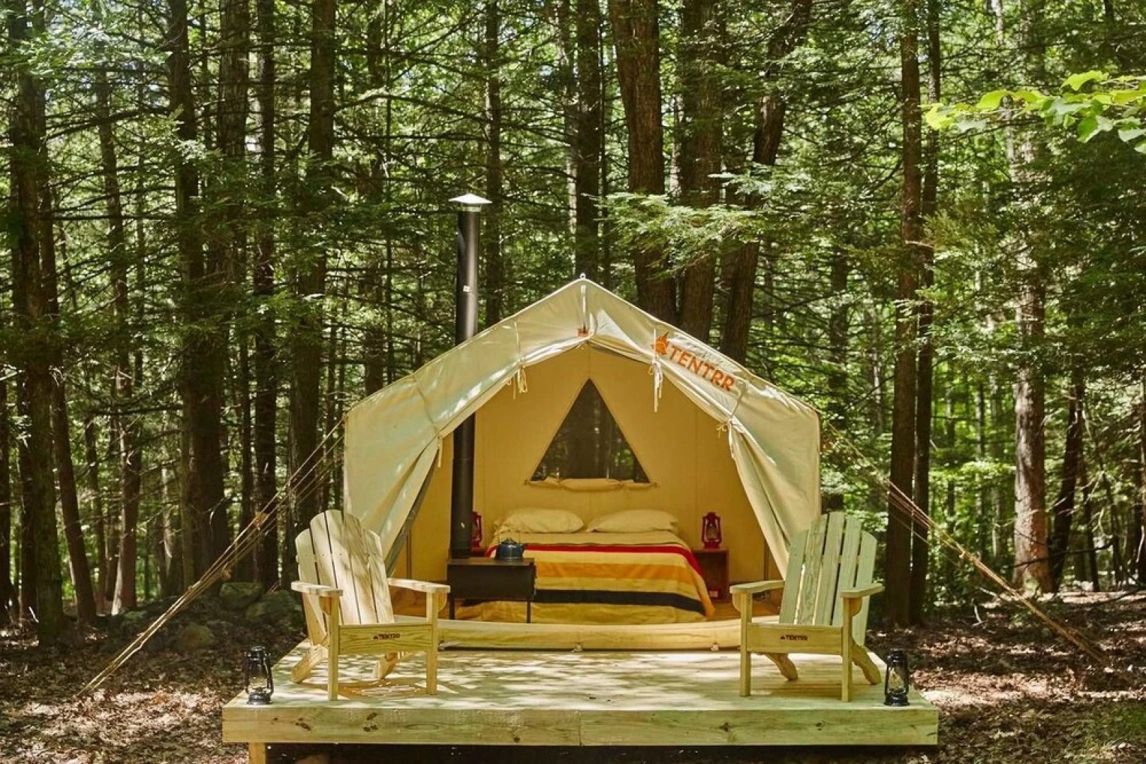 Tentrr - Little Bear