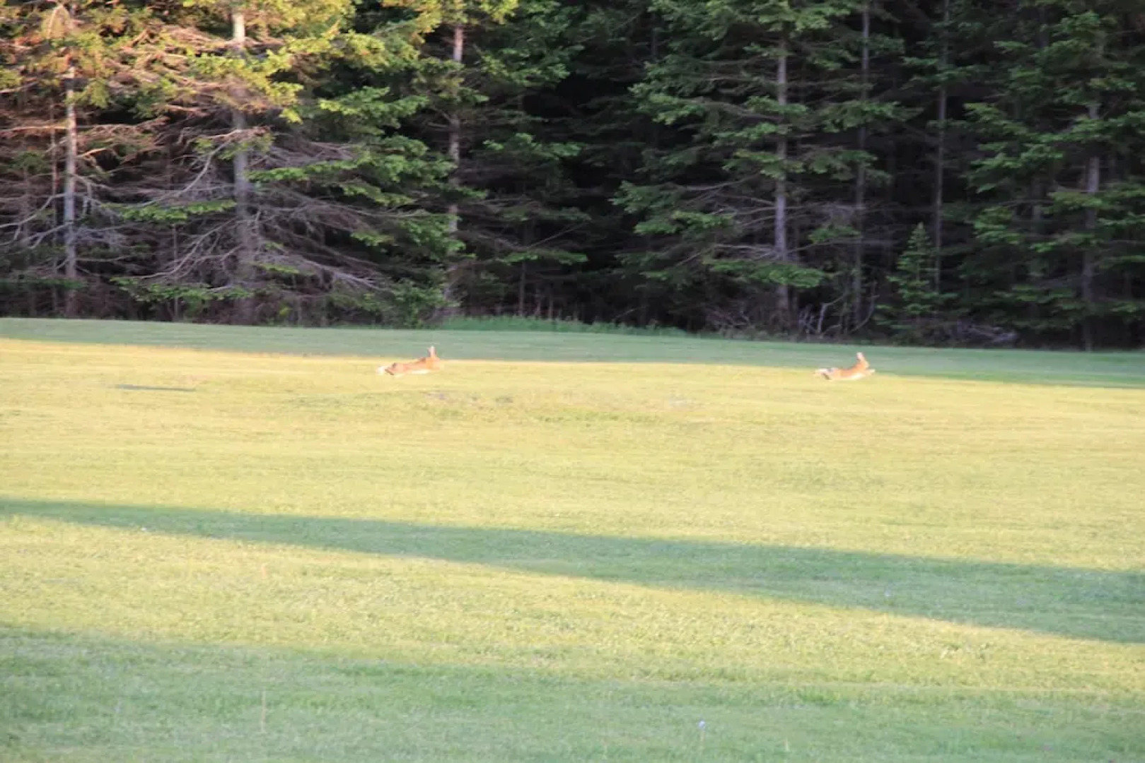 Rustico Acres Cottages