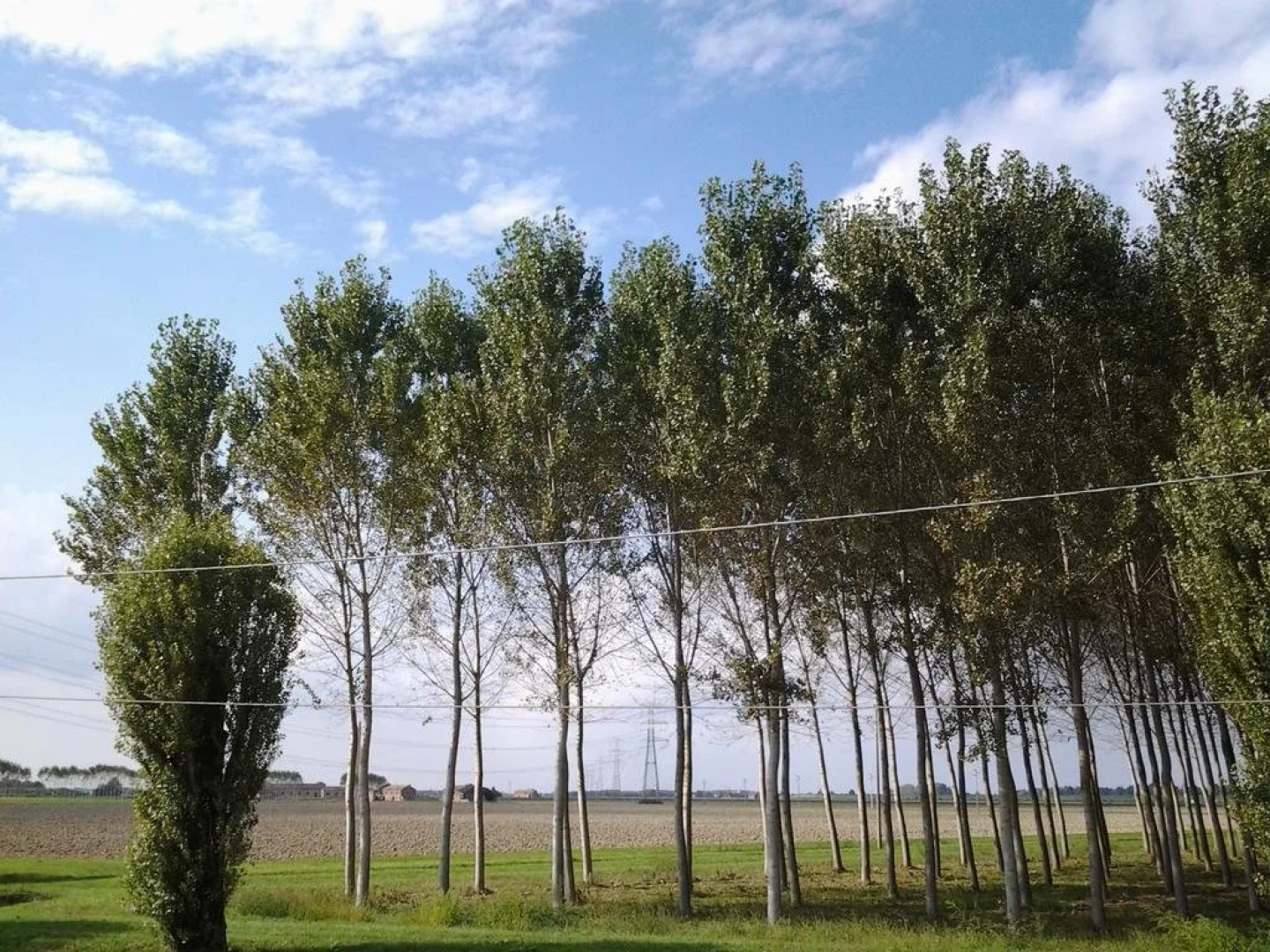 Agriturismo cà Vendramin