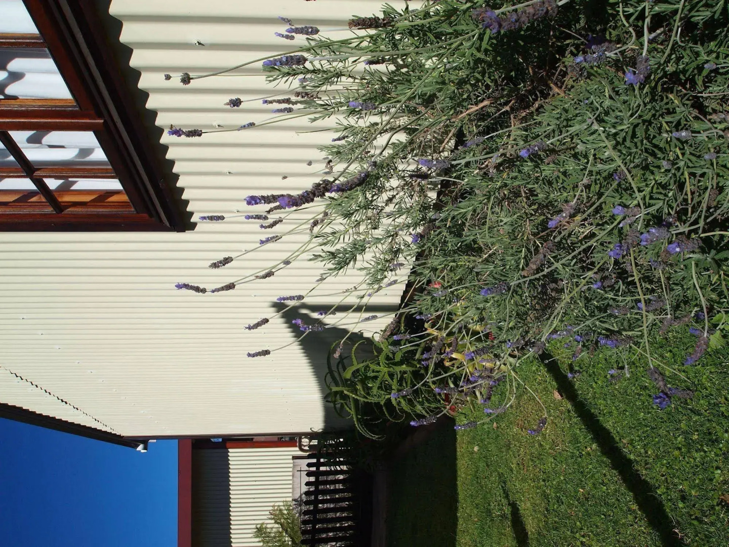 Havana Nights Graskop