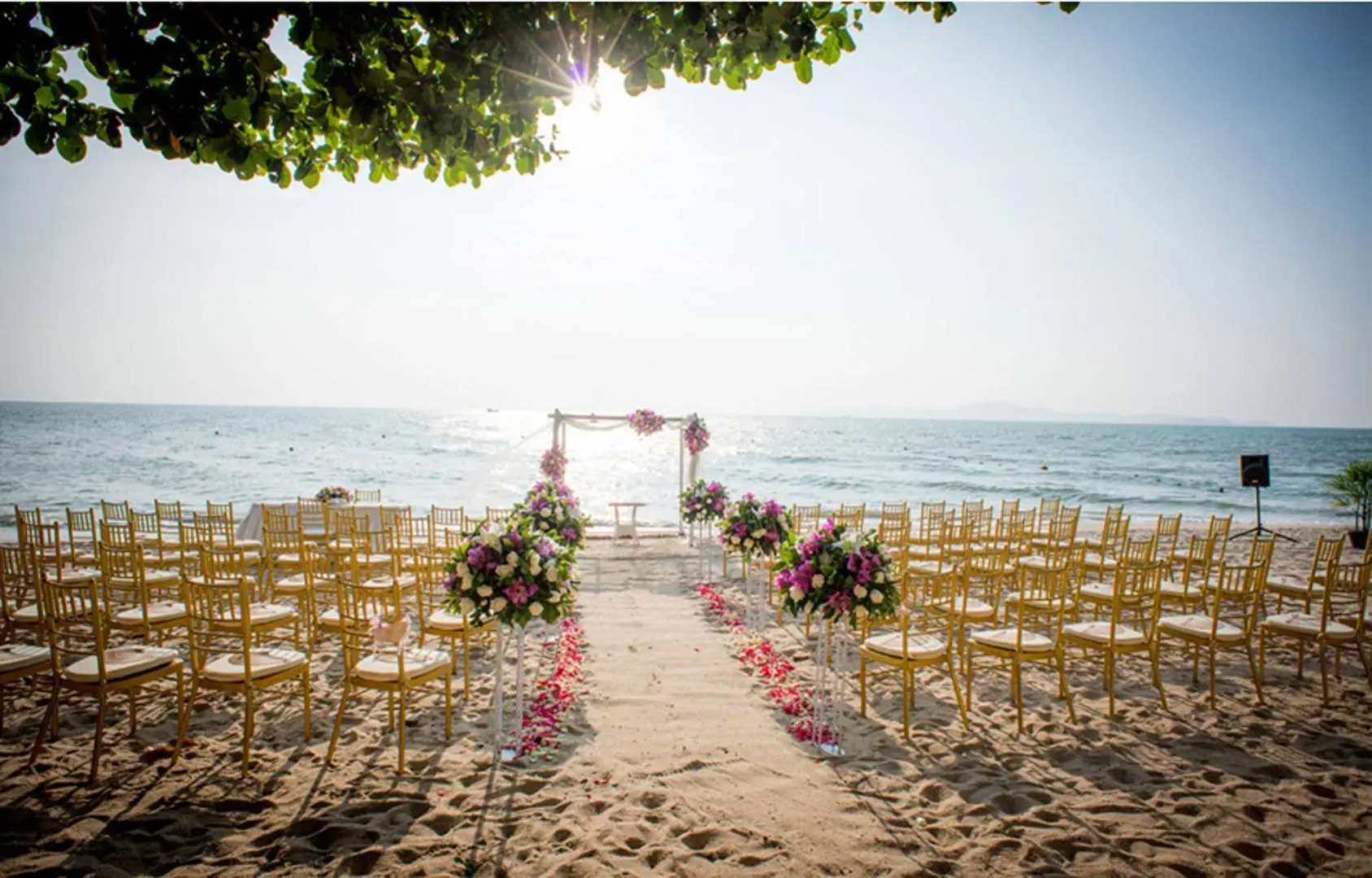 Birds and Bees Resort