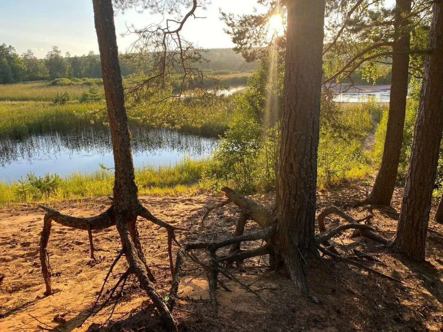 Дом на улице Набережная 31