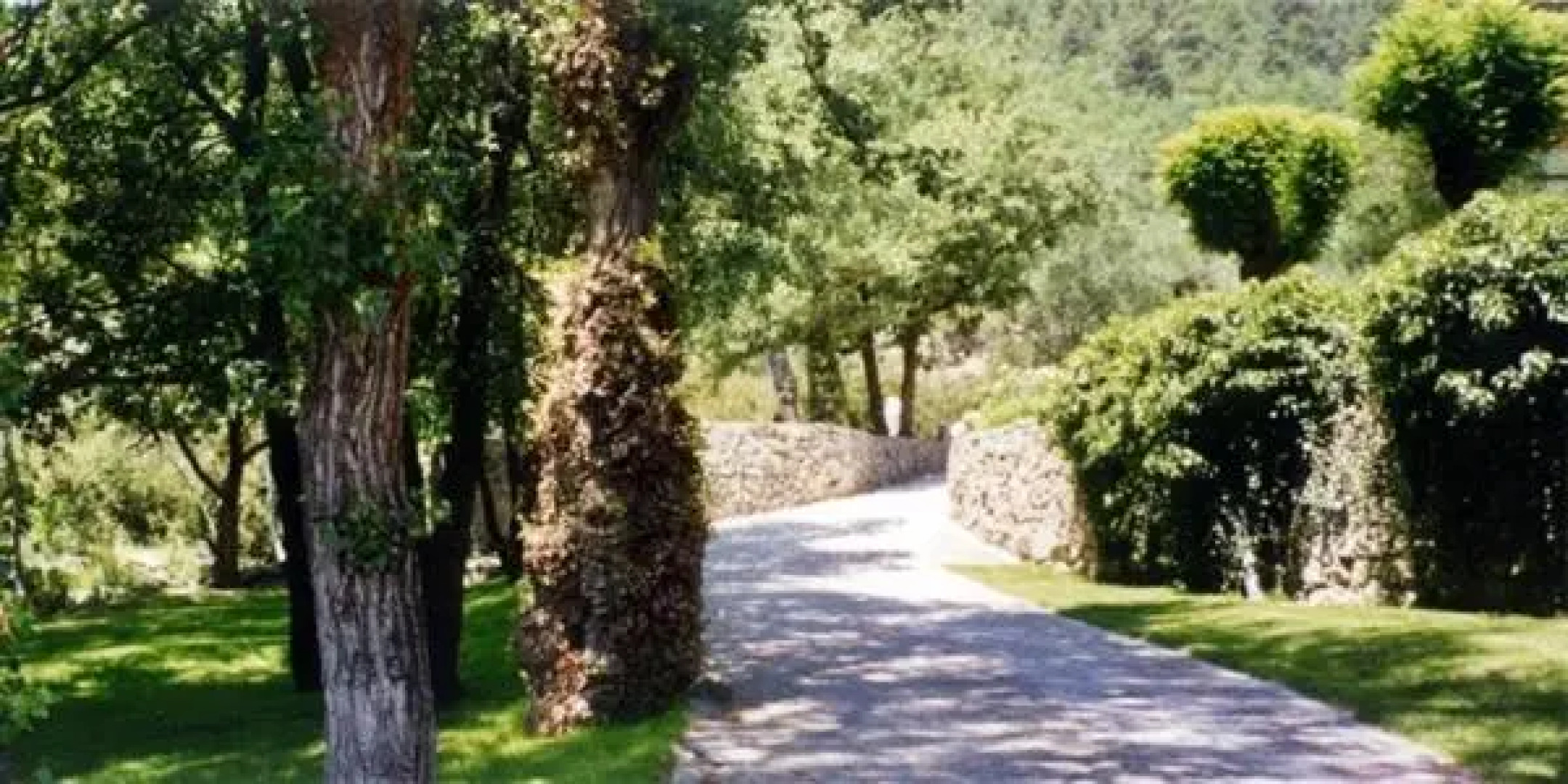 Apartaments La Taverna dels Noguers