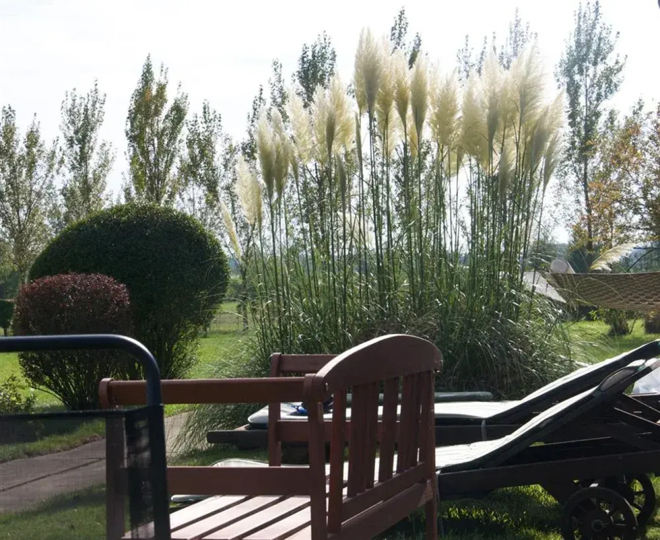 Treetops Cottages & Spa