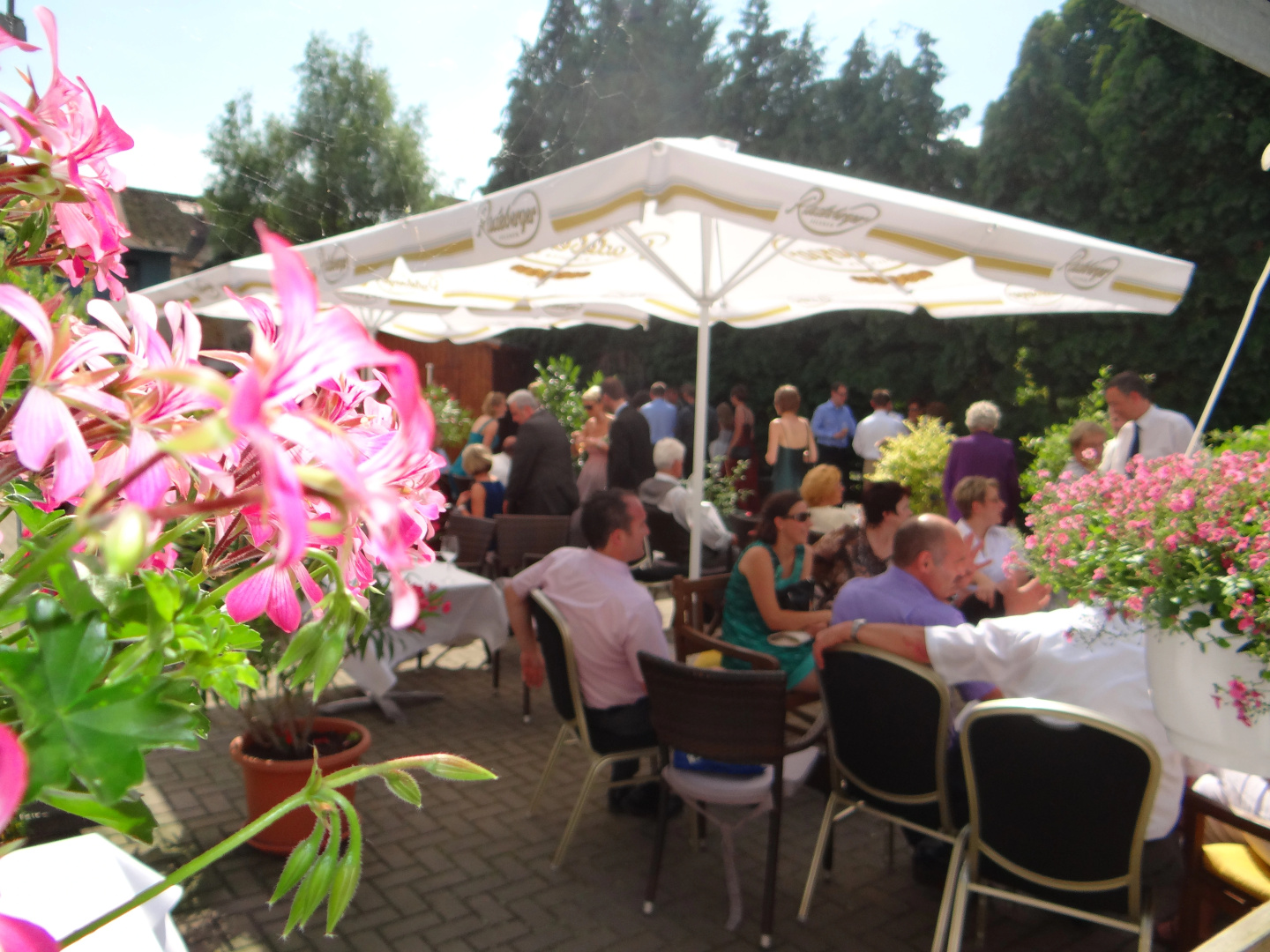 TOP martas Hotel Lutherstadt-Wittenberg
