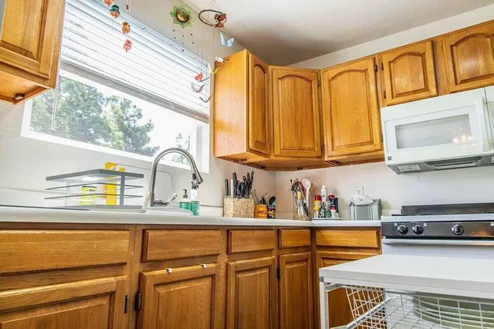Cozy and Convenient 1bd in Alameda