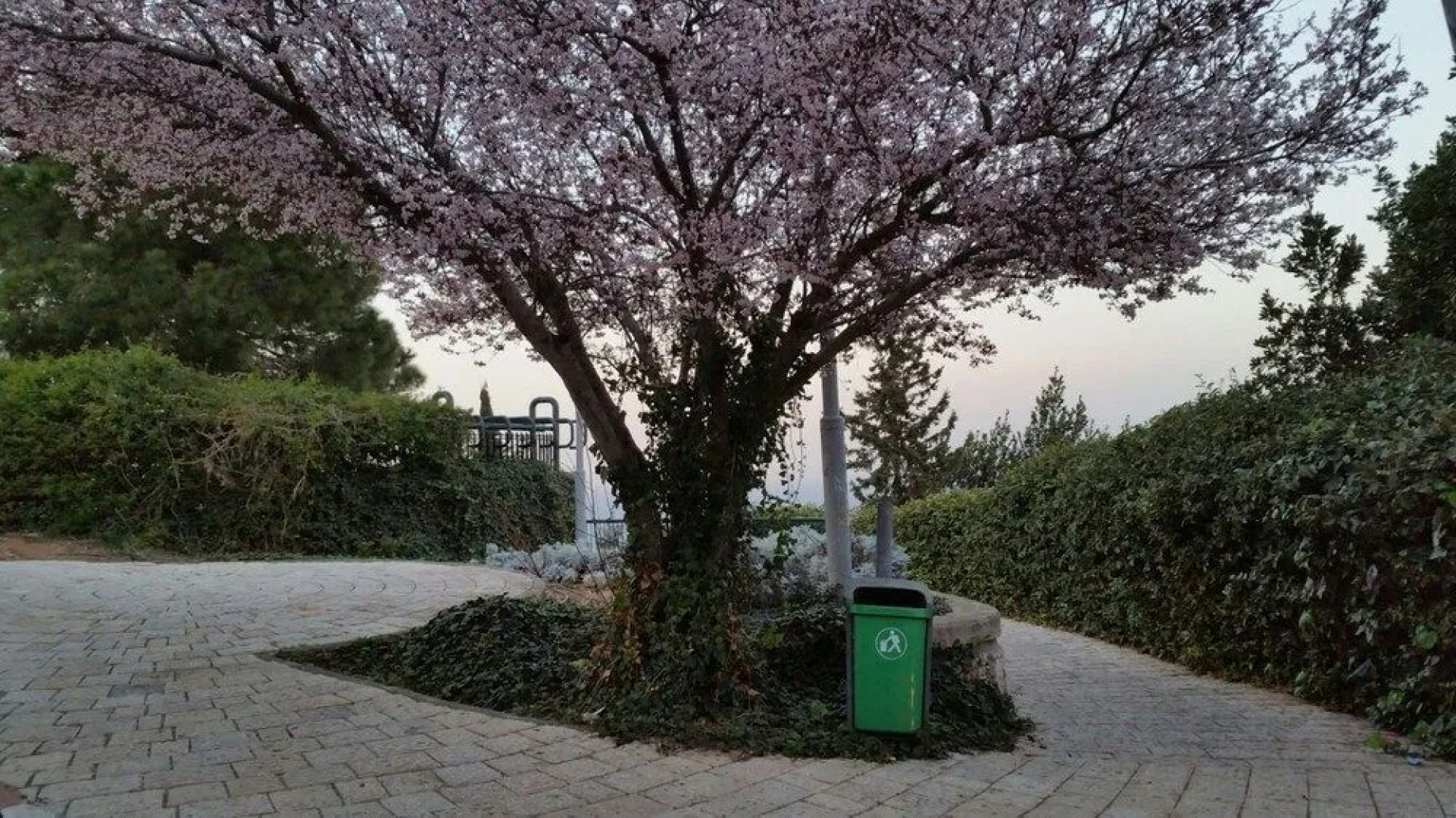 Rothschild Luxury Apartment Beautiful View Haifa Israel