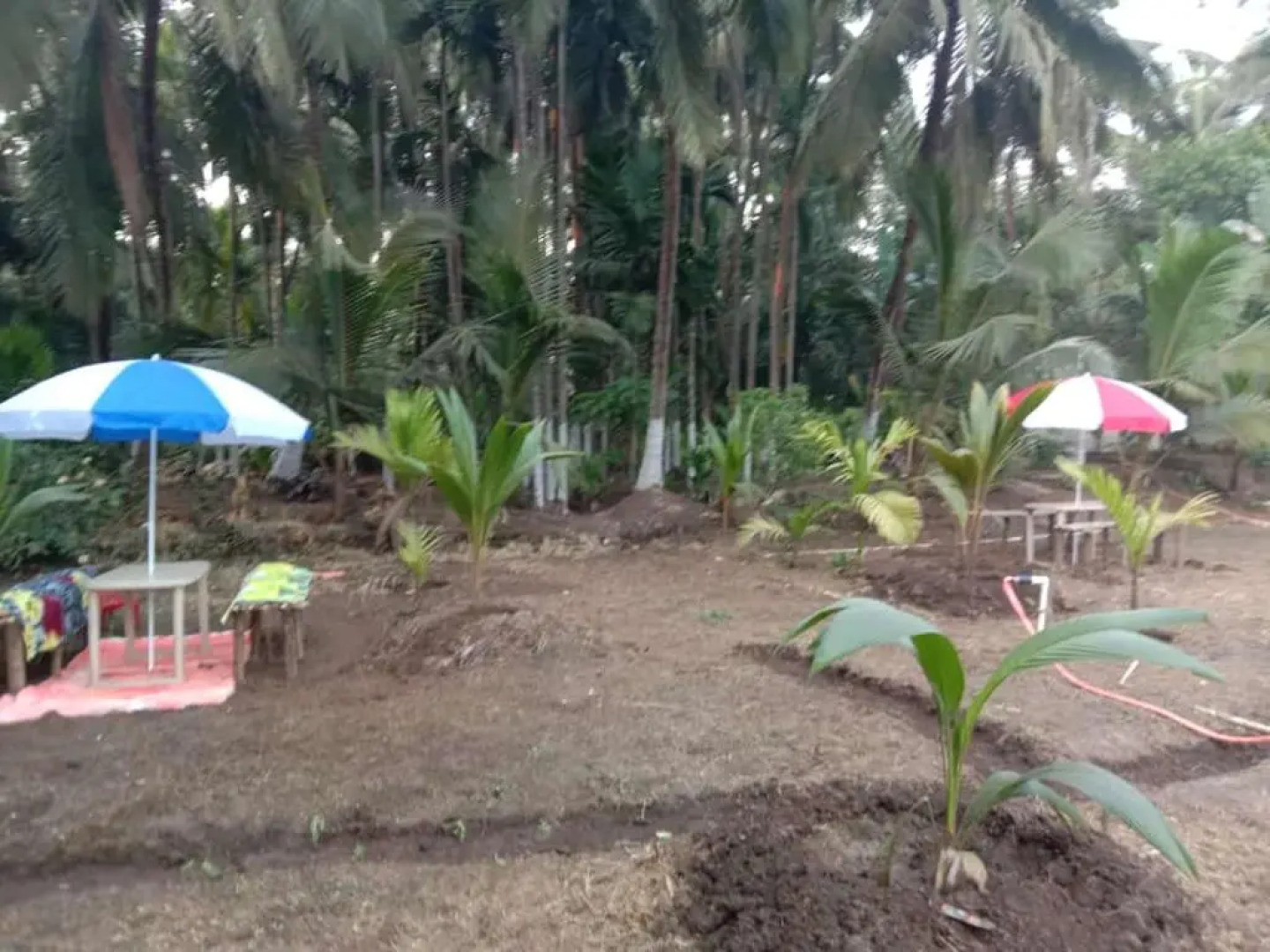 Ballaleshwar cottage