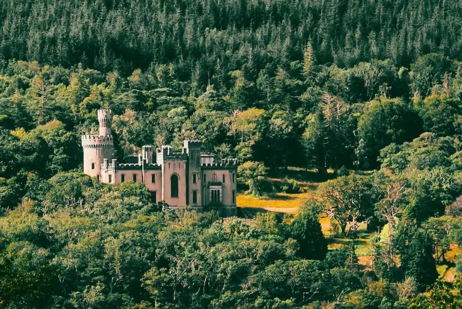 Newly Renovated, Stylish Self-catering Apartment