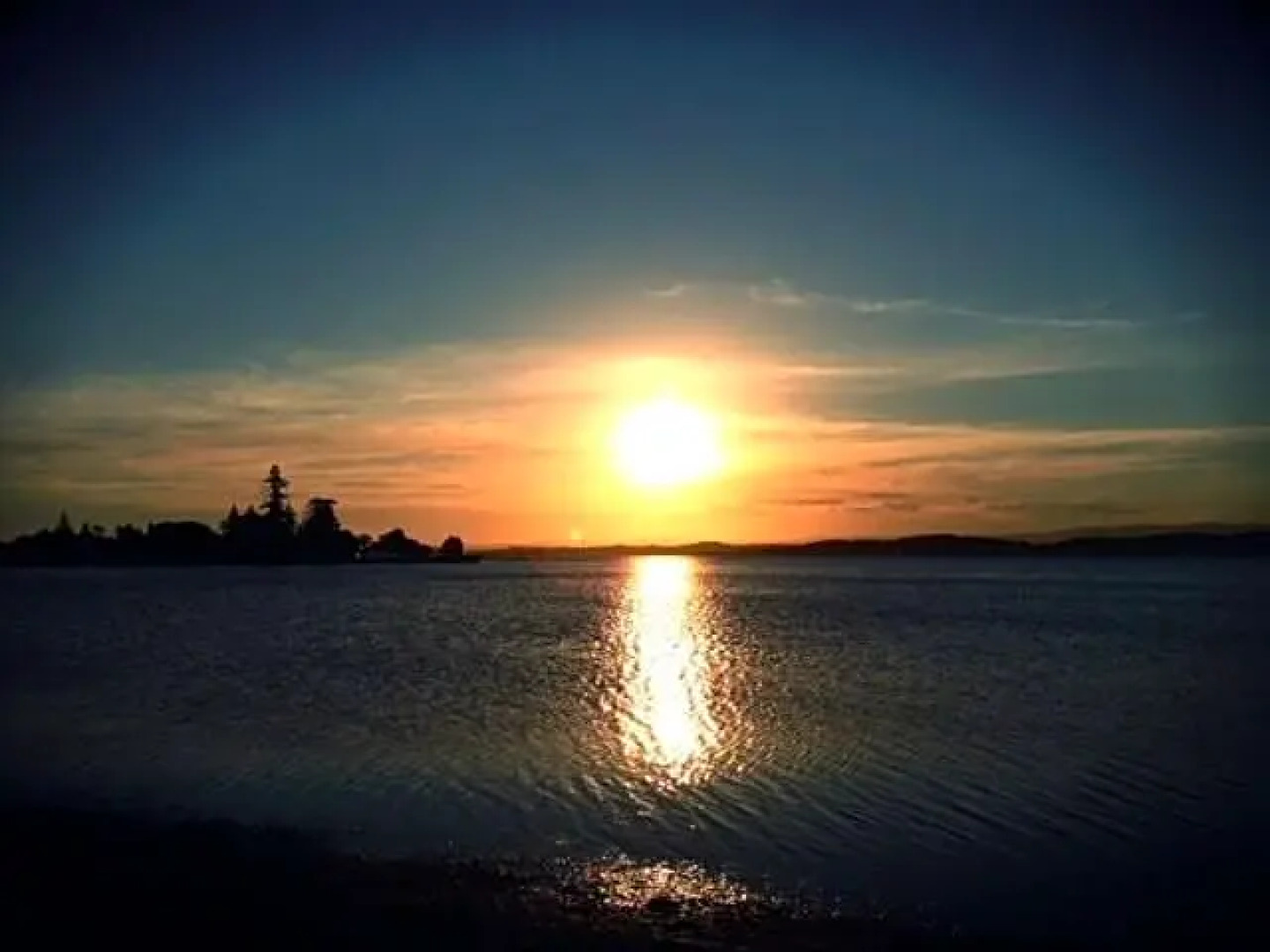 Aquarius Motel Belmont