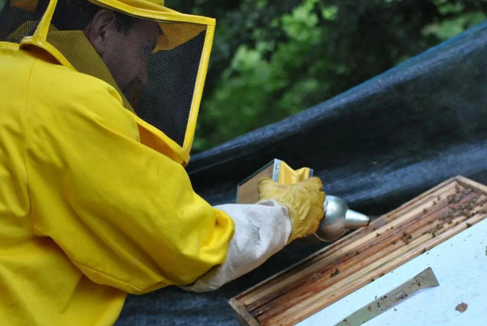 Appartamenti Il Medeghino