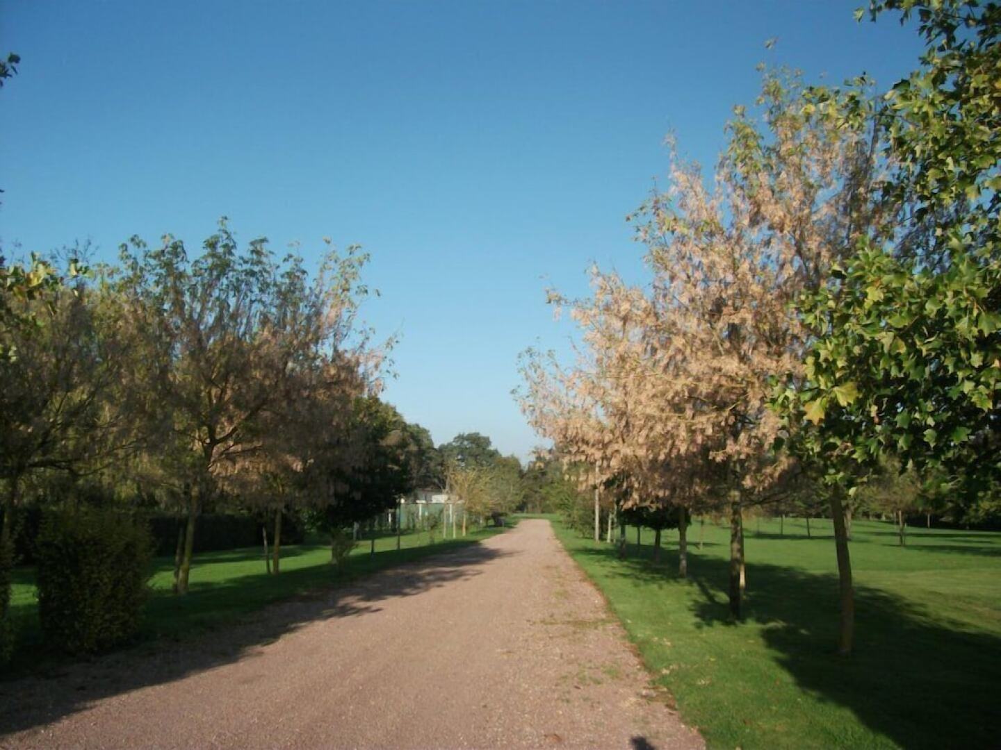 Domaine du Mont Hulin - Chambres d'hôtes