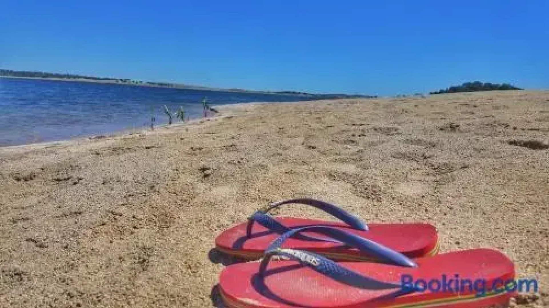 Casa Rico Frade Garden