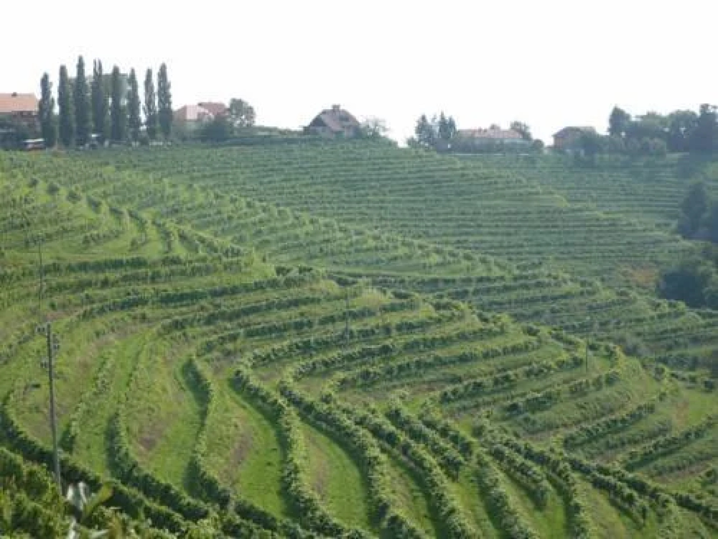 Villa Venezia