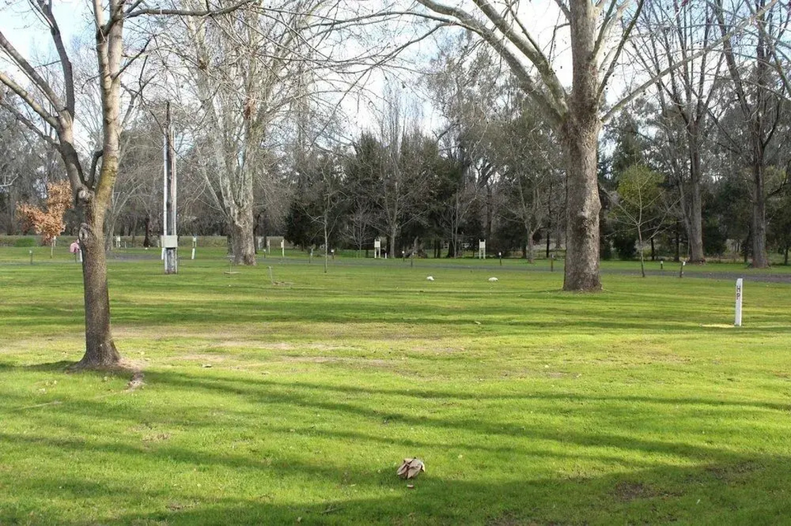 Reflections Tumut River