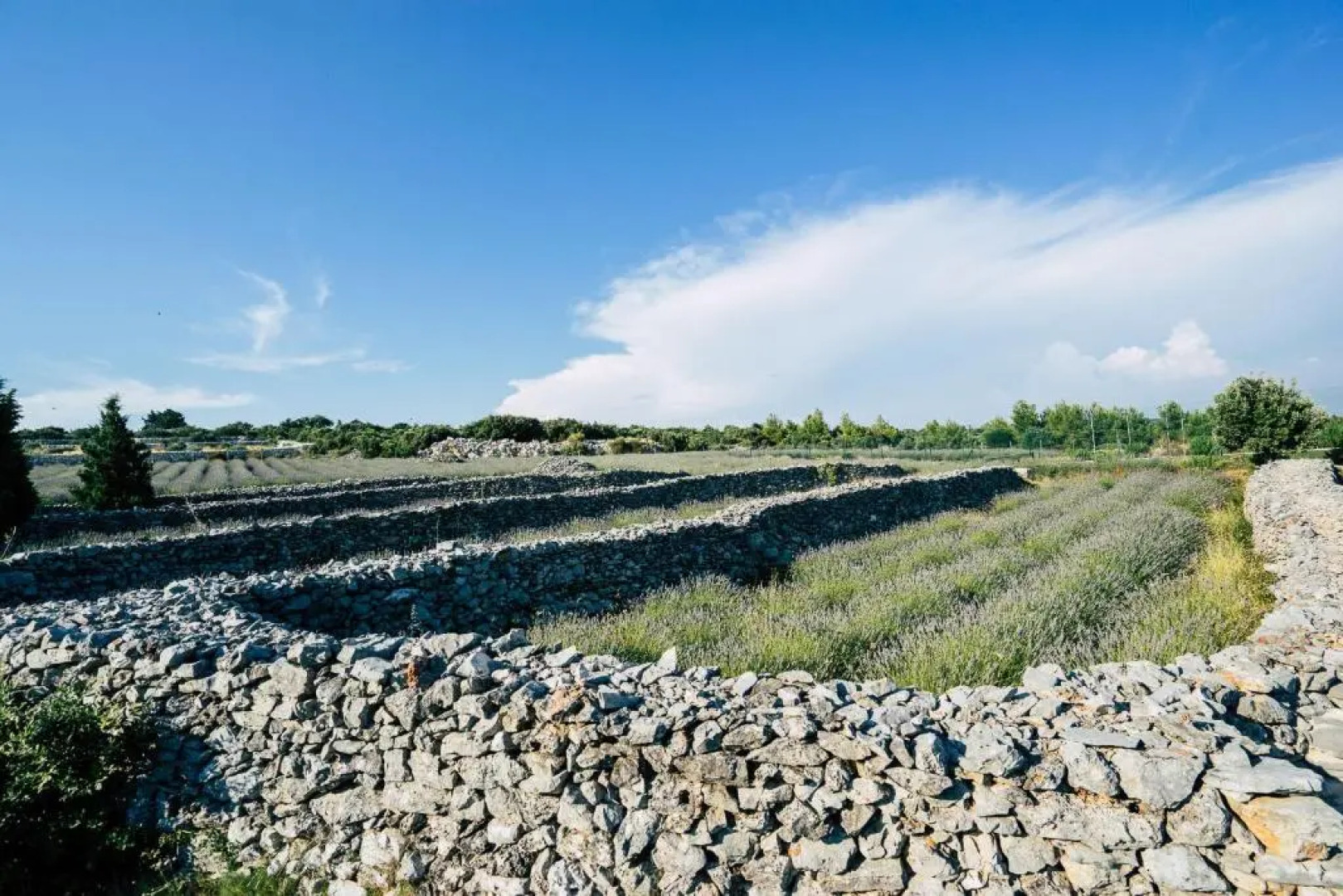 Sea View Villa Dvori Sv. Jurja