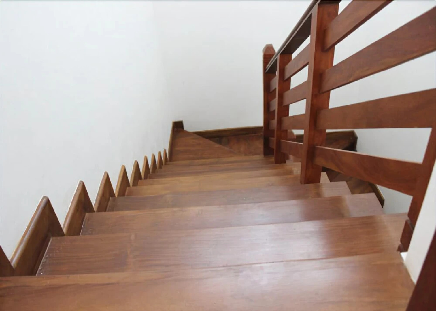 Camellia Holiday Homes