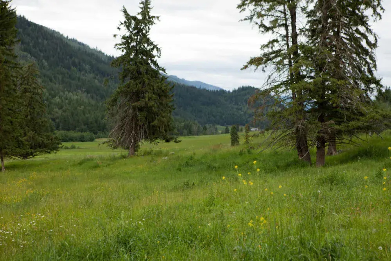 Tod Mountain Guest Cabins