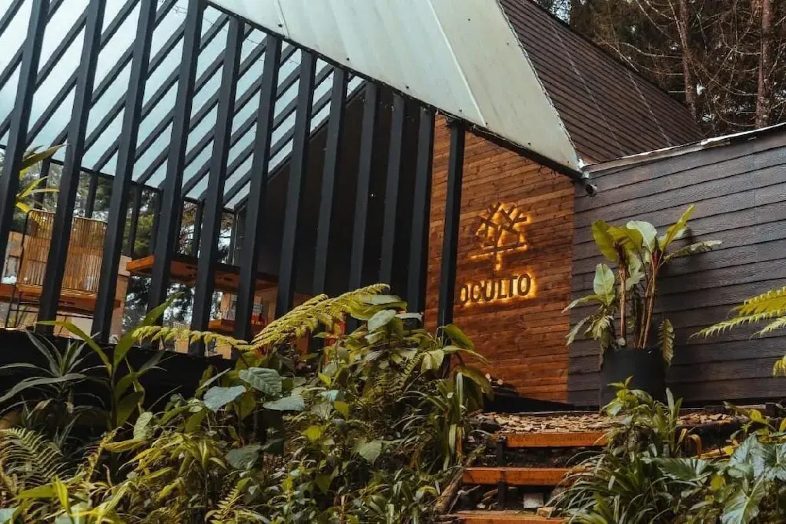 Oculto Refugio De Bosque