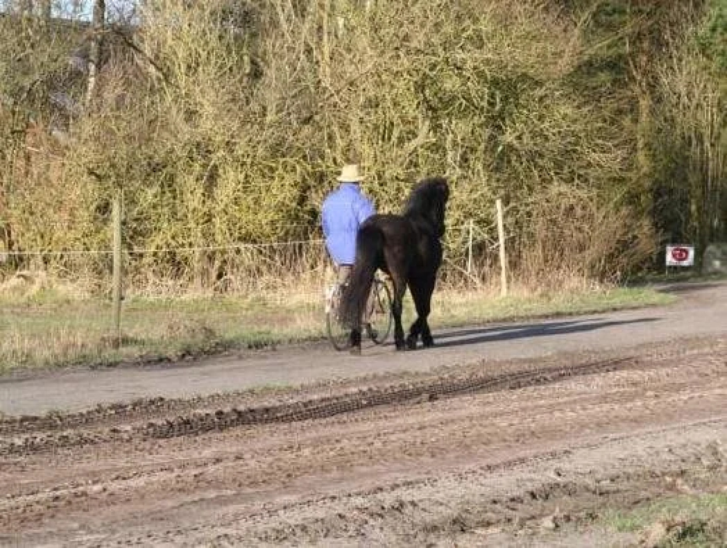 Stutteri Sonne Bed & Breakfast