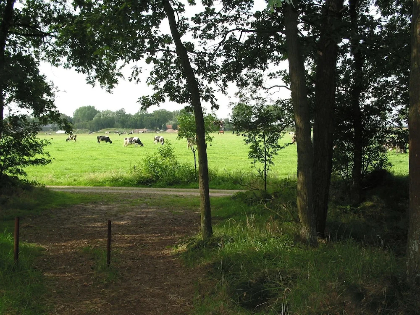 Romantic Bungalow With Dishwasher, Surrounded by Nature