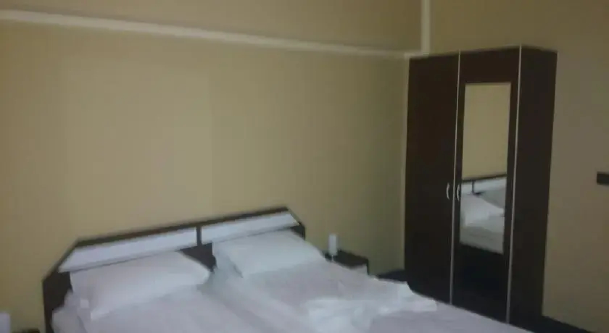 Hotel Crinul