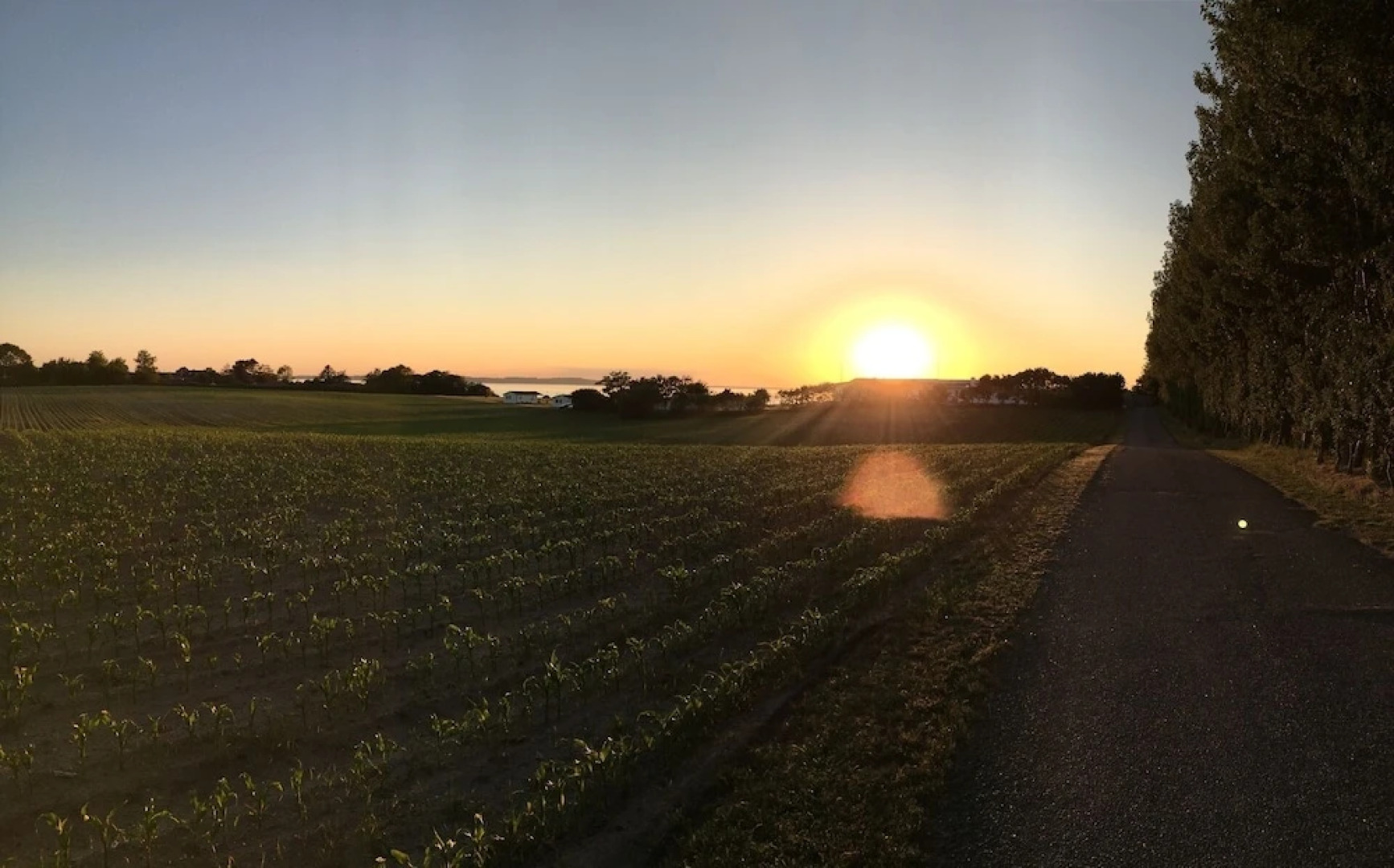 Beachfront Apartment D, 2 Bedrooms, Free Parking