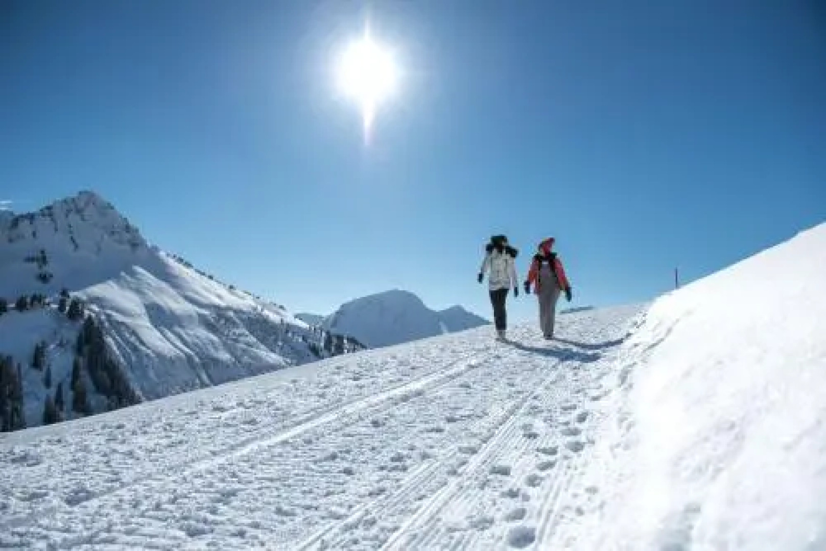 Hotel Pension Hertehof